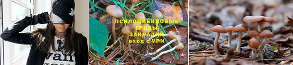 герыч Каменка