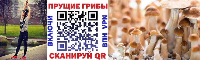 Галлюциногенные грибы мухоморы  Купить закладки  Мелеуз 
